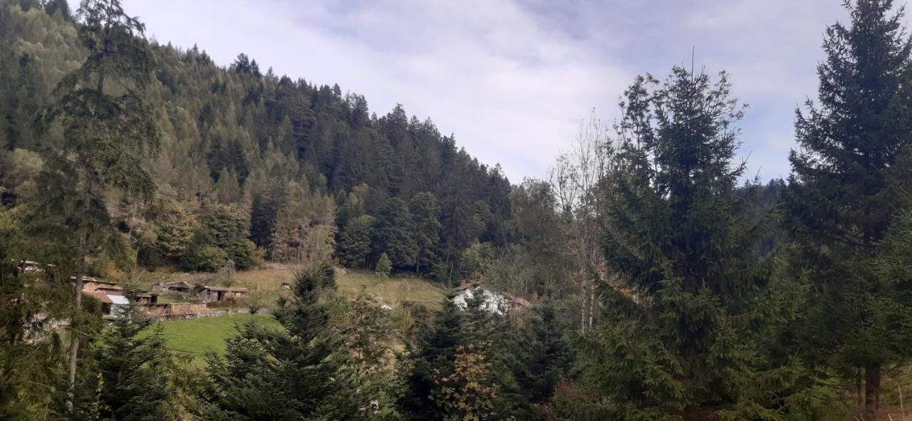 Apartament Le Montagnard Gérardmer Zewnętrze zdjęcie