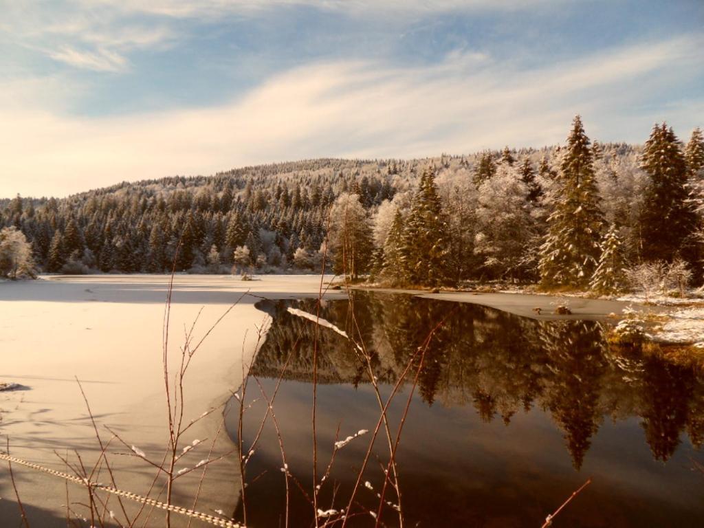 Apartament Le Montagnard Gérardmer Zewnętrze zdjęcie