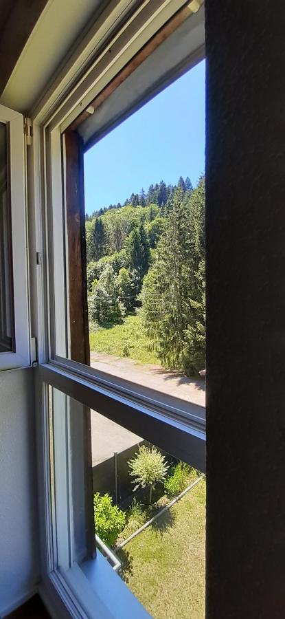 Apartament Le Montagnard Gérardmer Zewnętrze zdjęcie